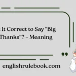 Is It Correct to Say “Big Thanks”? – Meaning