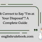 Is It Correct to Say “I’m at Your Disposal”? A Complete Guide