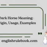 Dark Horse Meaning: Origin, Usage, Examples