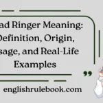 Dead Ringer Meaning