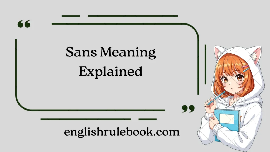 Sans Meaning Explained