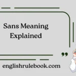Sans Meaning Explained