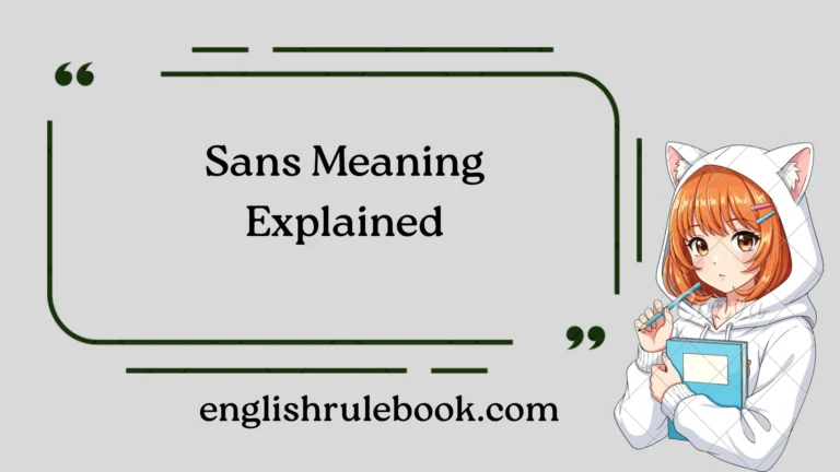 Sans Meaning Explained