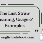 The Last Straw Meaning