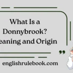 What Is a Donnybrook?