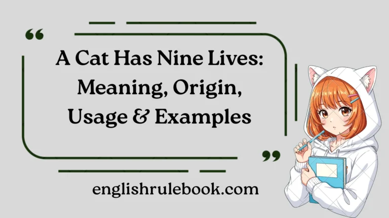 A Cat Has Nine Lives