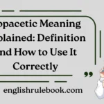 Copacetic Meaning Explained