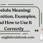 Delulu Meaning
