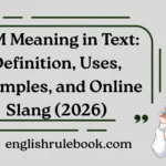 IDM Meaning in Text