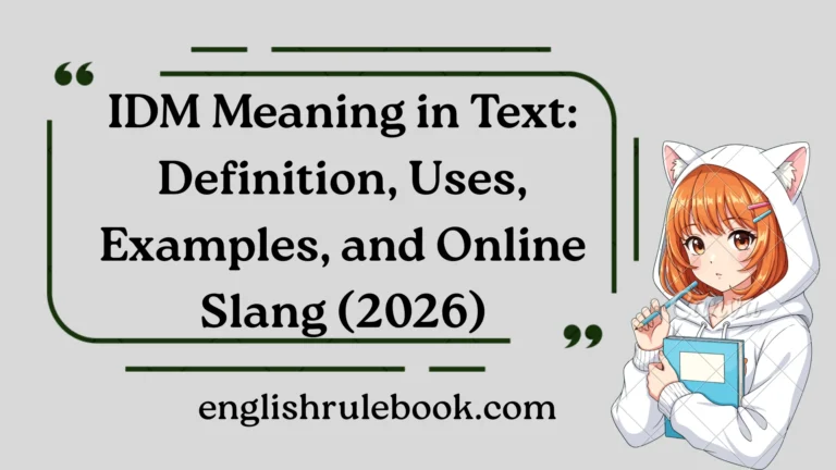 IDM Meaning in Text