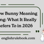Snow Bunny Meaning Slang