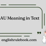 SYBAU Meaning in Text