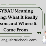 SYBAU Meaning Slang