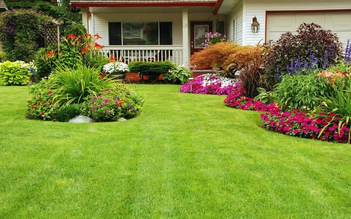 Lawn Healthy