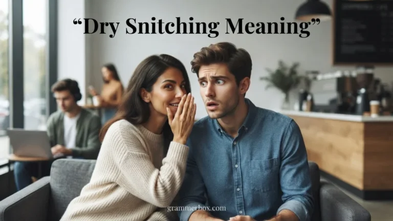dry snitch meaning
