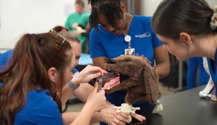Vet Tech Program